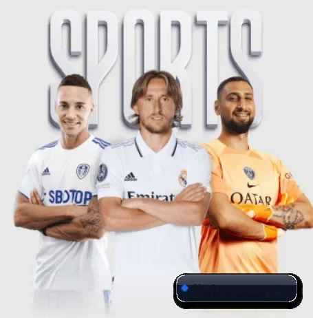 金博体育sport APP